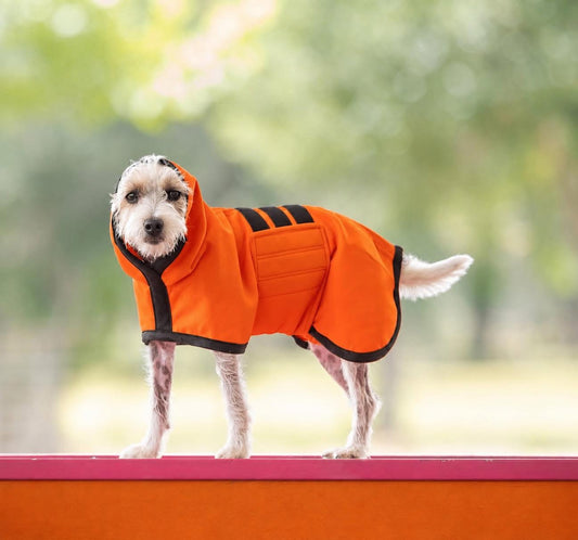 Pre-Order l Cooling Coat